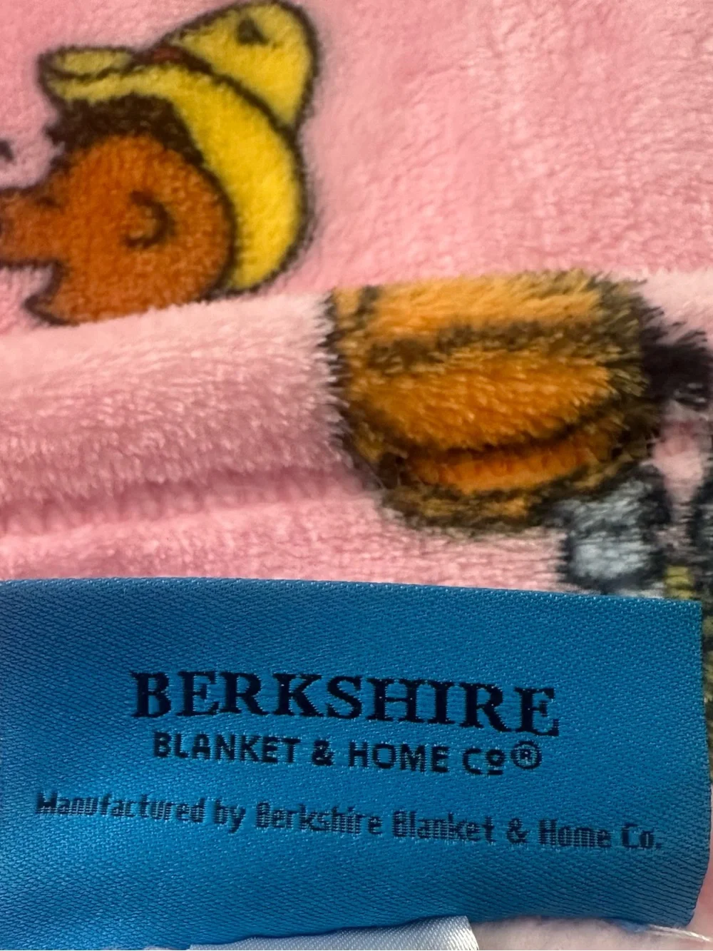 Peanuts Snoopy Halloween Throw Blanket Pink Berkshire 50x70 Woodstock Charlie